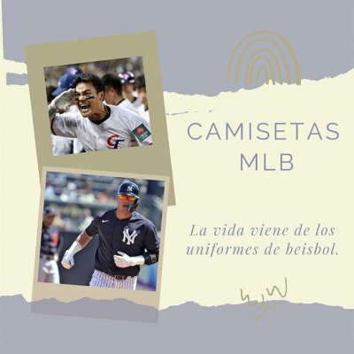 MVP solo juego doble anillo! Zhang Yucheng regresa a los Estados