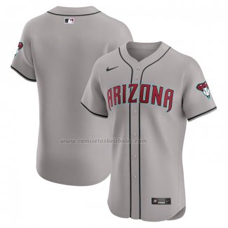 Camiseta Beisbol Hombre Arizona Diamondbacks Vapor Premier Elite Gris