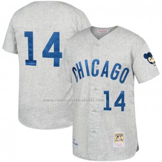 Camiseta Beisbol Hombre Chicago Cubs Ernie Banks Mitchell & Ness 1969 Segunda Autentico Gris