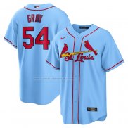 Camiseta Beisbol Hombre St. Louis Cardinals Yadier Molina Alterno Replica Azul